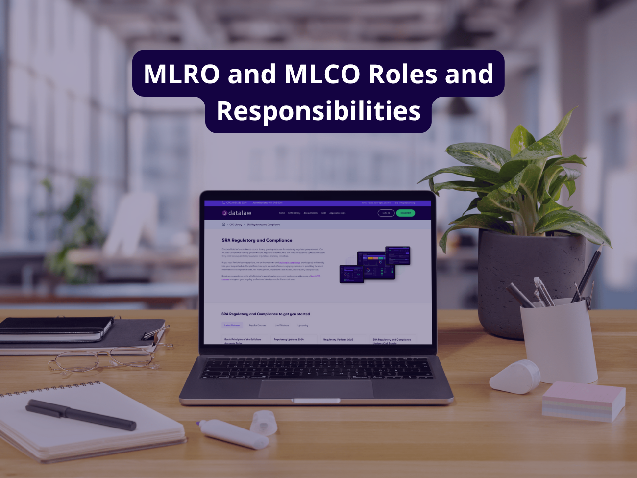 MLRO and MLCO Roles and Responsibilities