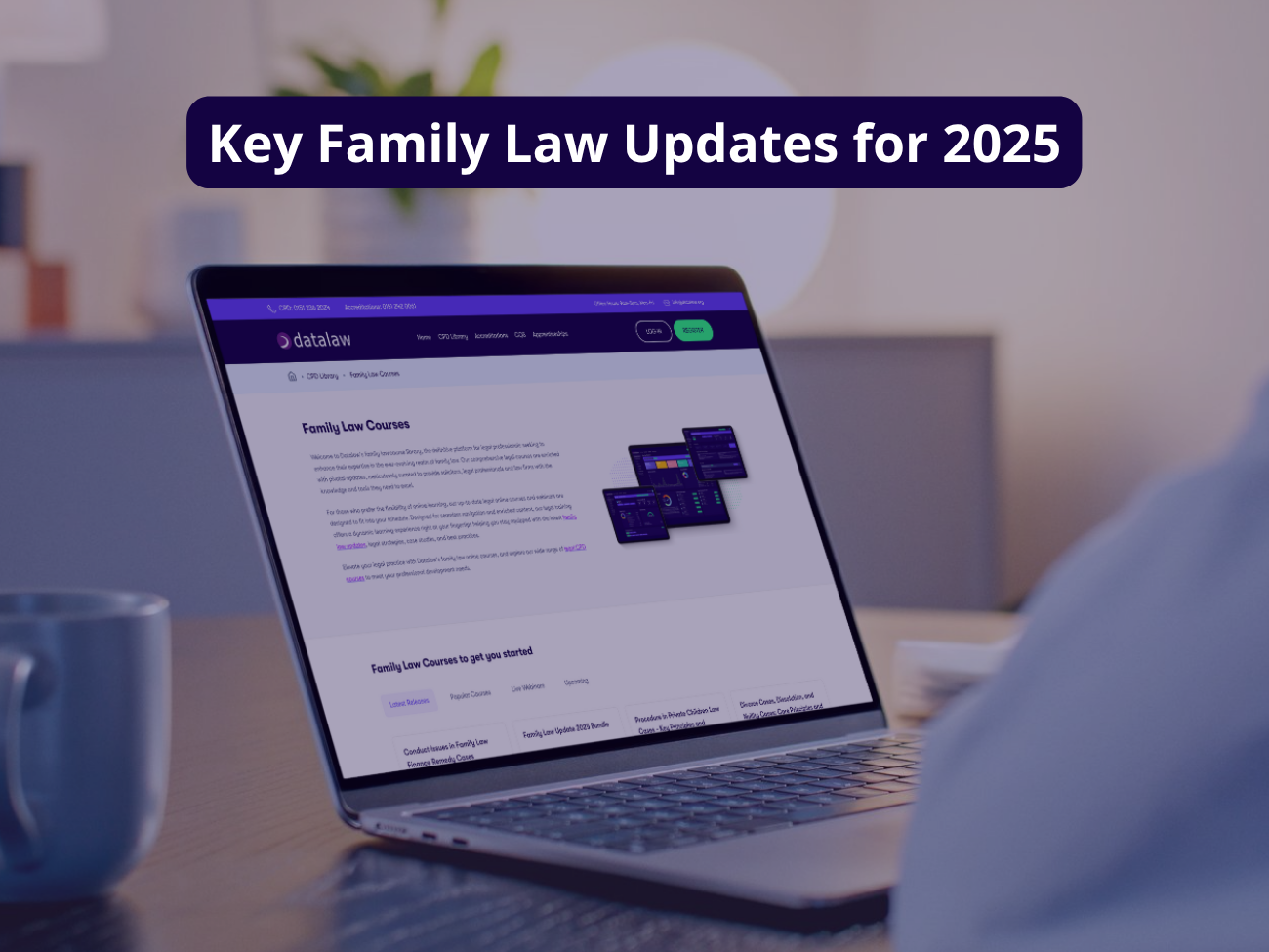 family law updates