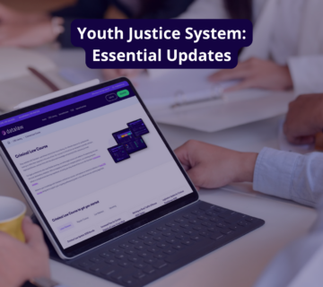 youth justice system