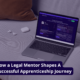 Legal mentor